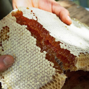 Raw & Unprocessed Honey