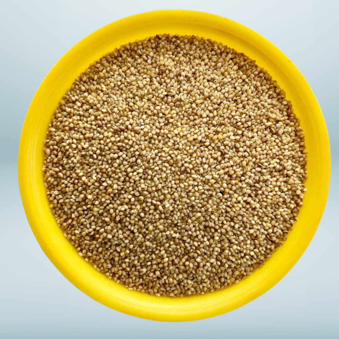 Foxtail Millet